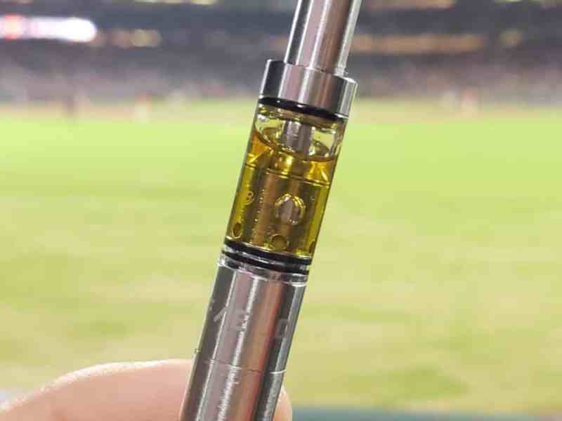 Things You Should Know About The Delta 8 Disposable Vape&nbsp;Pen